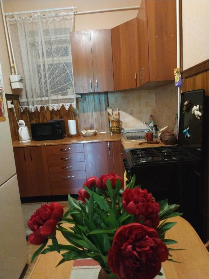 Apartment In The Center Of Old Town Kamieniec Podolski Zewnętrze zdjęcie